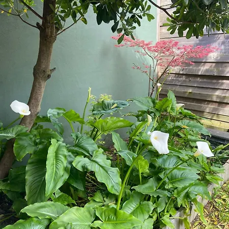 Le Vivier, Elegante Maison Familiale Avec 4*